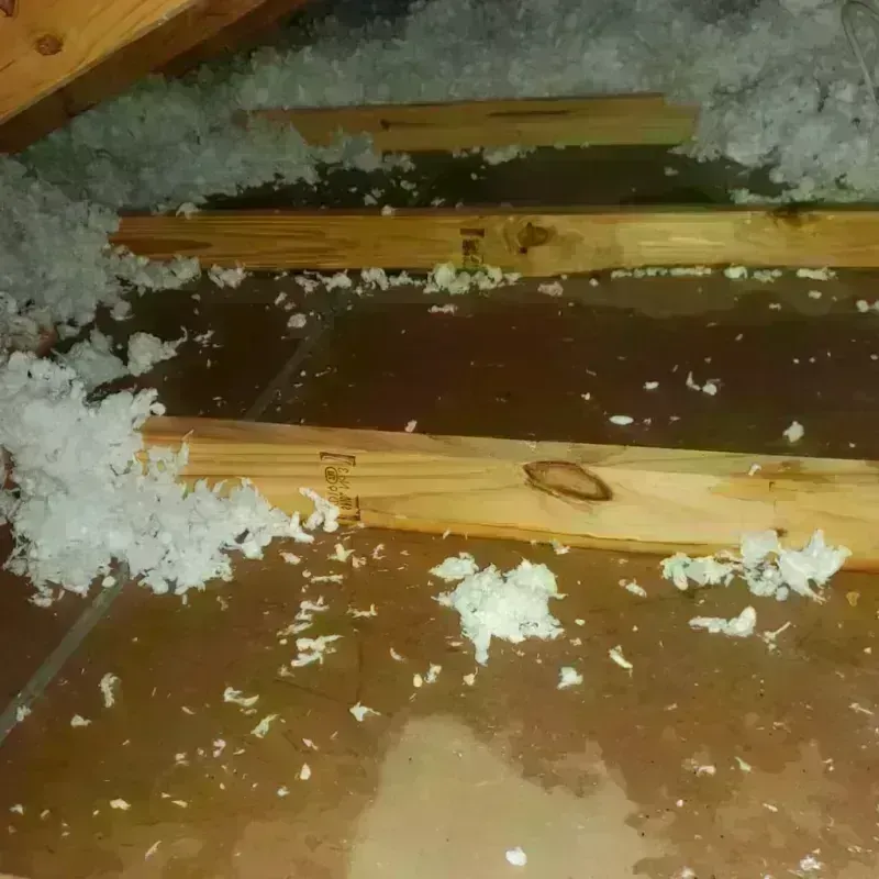 Attic Water Damage in Country Squire Lakes, IN